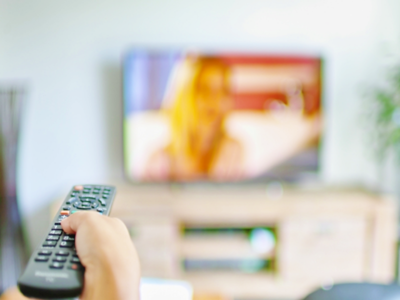 증상·사이즈별 예상금액